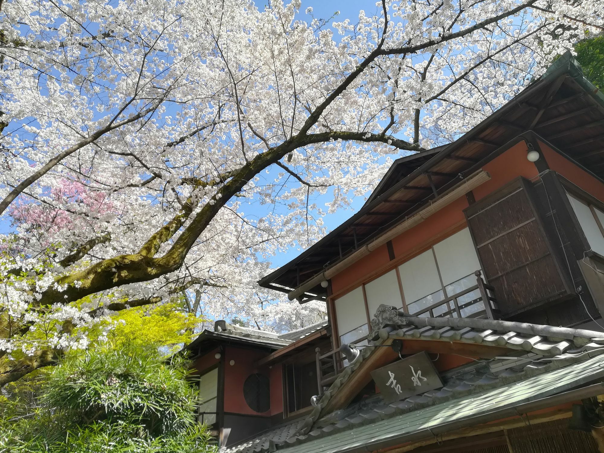 Japanese Inn Yoshimizu Κιότο Εξωτερικό φωτογραφία